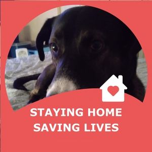 Meet your Posher, Vinnie